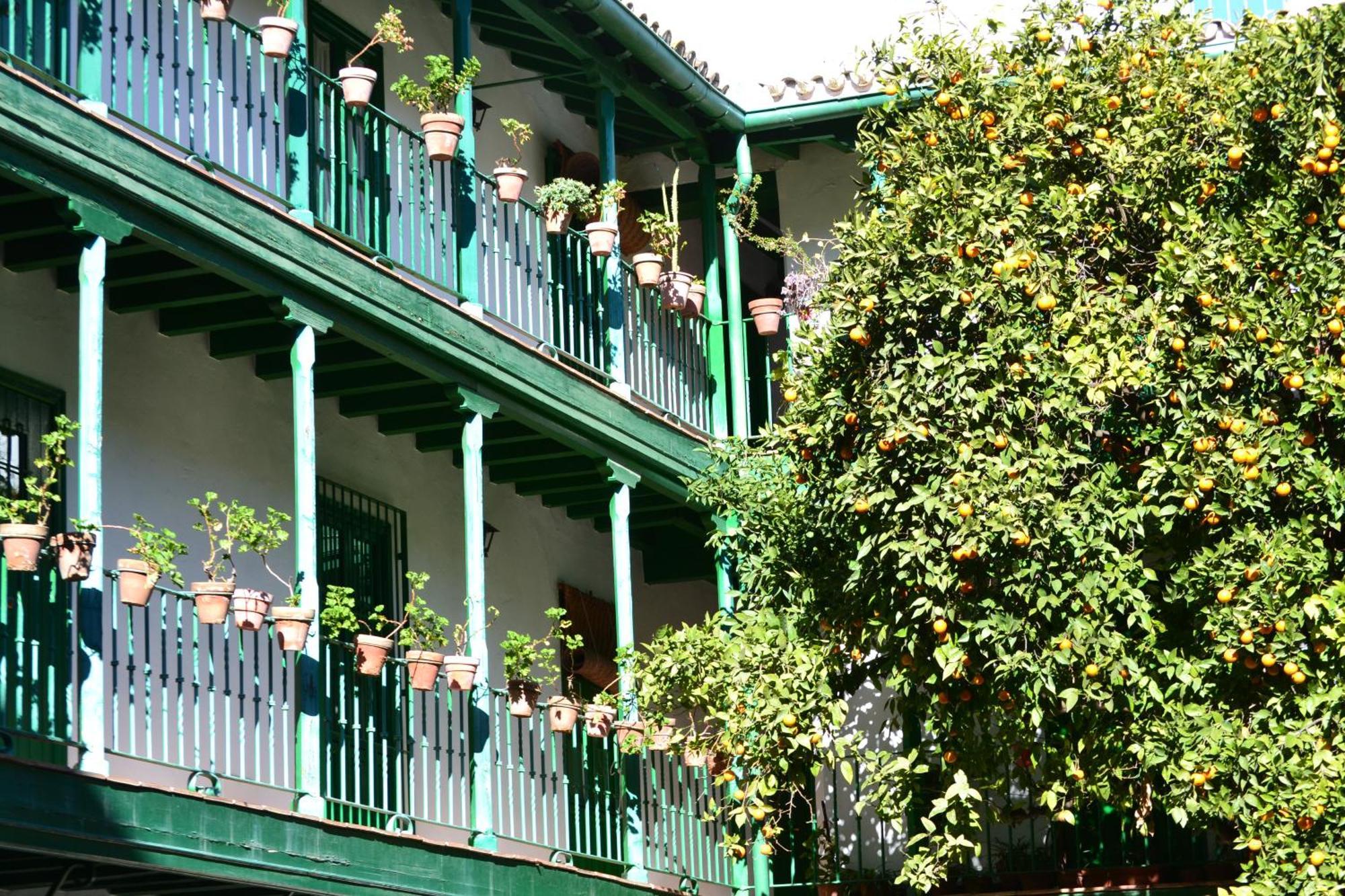 Estudio Las Setas I Siviglia Esterno foto